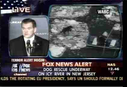 Incredibly, Homeland Security secretary Tom Ridge's speech was given less space on the screen than the dog's rescue