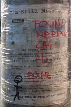 Missing!
FOUND - KEEPING CAT 4 EVA